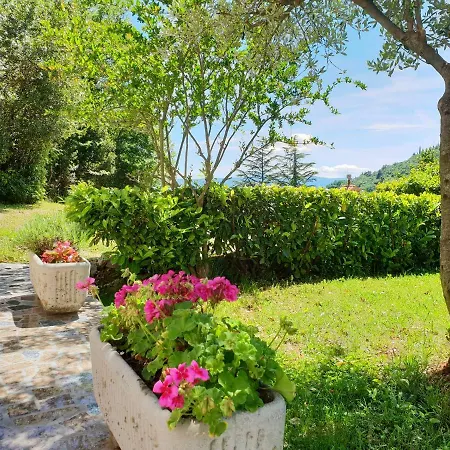 Apartment Apartments & Rooms Mikleus *